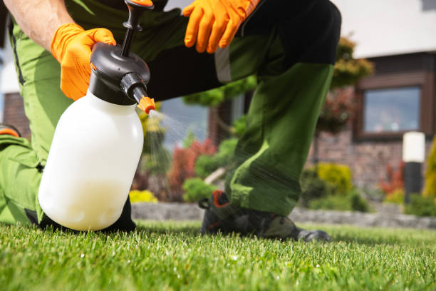 Best Emergency Pest Control  in Sunman, IN