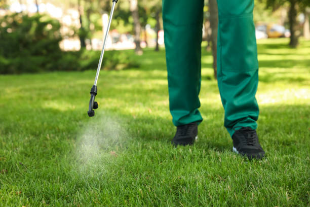 Best Local Pest Control Services  in Sunman, IN