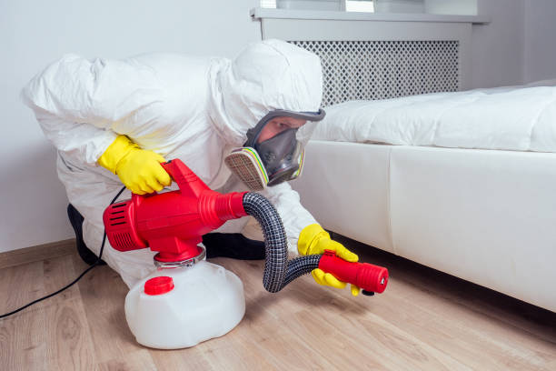 Wasp Removal Services in Sunman, IN