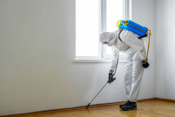 Best Pest Removal Services  in Sunman, IN