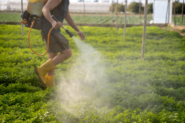 Best Affordable Pest Control Services  in Sunman, IN