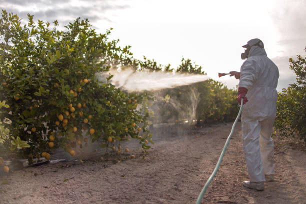 Best Cockroach Control Services  in Sunman, IN