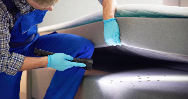 Best Pest Control for Businesses  in Sunman, IN