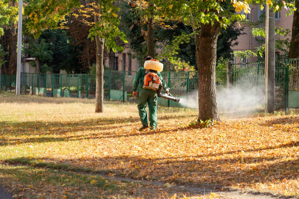 Best Best Pest Control Companies  in Sunman, IN