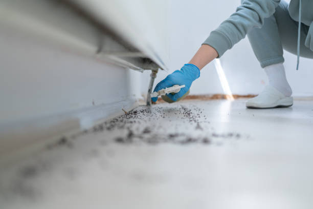Best Wasp Removal Services  in Sunman, IN