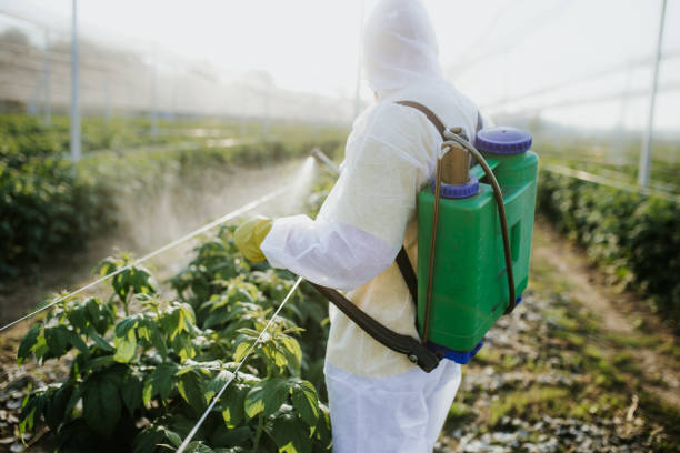 Best Commercial Pest Control Services  in Sunman, IN